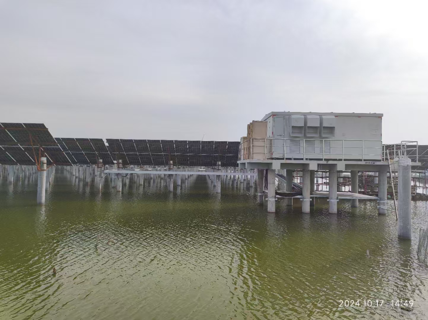 1733714355210240.jpg 12c5a8981386f7965d1eaade8532398.jpg