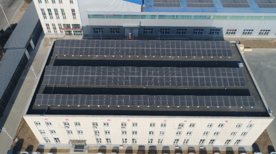 1737701923198801.jpg 1737689246928.jpg